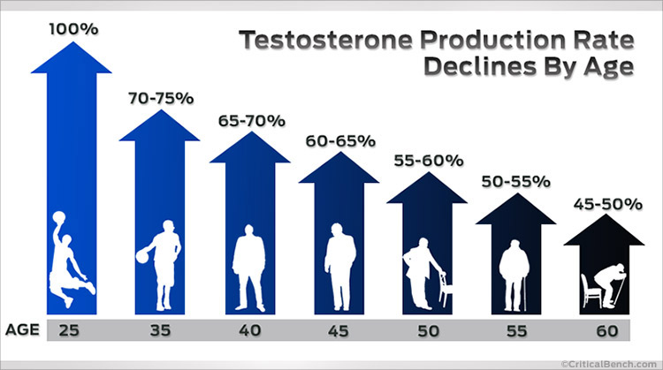 Testosterone Decline.